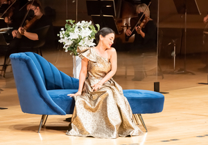 Feature: ONLINE VIRTUAL OPERA TOUR at Home Computer Screens Image