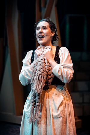 Review: INTO THE WOODS At Harlequin Musical Theatre  Image