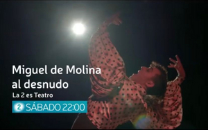 STAGE TUBE: Tráiler de MIGUEL DE MOLINA AL DESNUDO Image