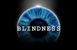 BLINDNESS Begins Final Two Weeks at the Daryl Roth Theatre Image