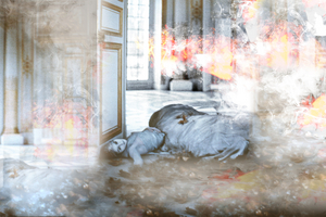 ARIODANTE Begins Performances At Bolshoi Theatre Image