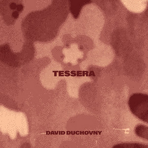 David Duchovny Releases New Single 'Tessera' Image