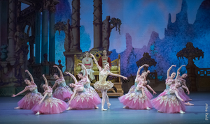 Ballet Idaho Announces Early Ticket Access for THE NUTCRACKER  Image