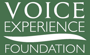 VOICExperience Foundation Returns To Orlando With Florida VOICE Project 