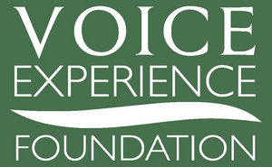 VOICExperience Foundation Returns To Orlando With Florida VOICE Project Image