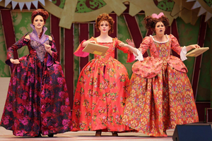 Review: RODGERS & HAMMERSTEIN'S CINDERELLA at Trollwood Performing Arts School Image