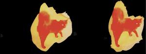 Times Square Arts Presents Jennifer West's Painted Cat Hacker Film for August Midnight Moment Image