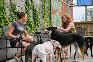 CRAFT HALL Unleashes Philly's Only Dog Park and Beer Garden  Image