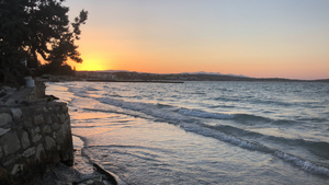 Student Blog: How To Go Back When You Don't Know How Image