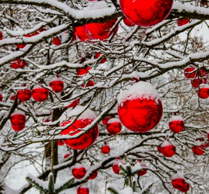 Student Blog: What We Know About 'Spirited': The Soon-to-Be Holiday Favorite Image