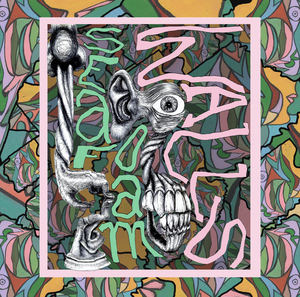 Seafoam Walls Announce Debut LP 'XVI' Image