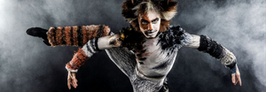 CATS To Play Morrison Center Beginning 10/29 Image