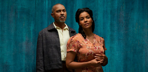 STC Announces Performance Updates For A RAISIN IN THE SUN and FANTASTIC MR. FOX 