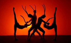 AFRIKANIA Comes to Black Light Theatre Image Today Image