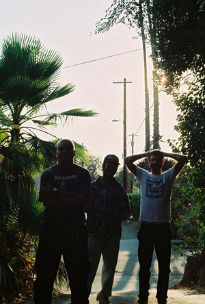 DARE Drops New Single 'Violation of Trust' Image