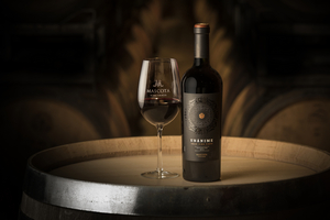 Experience Unánime Wines from the Mascota Vineyards of Argentina 