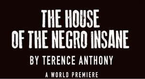 Terence Anthony's The House of the Negro Insane Is Unlike Any Story You've Heard Before  Image