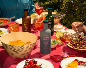 THREE SPIRIT Plant Powered Alcohol Free Elixer Delivers Great Taste Image