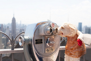 Interview: Dr. Manuel Moran Talks International Puppet Fringe Festival Image