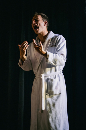 Review: 100 PAINTINGS, Bread & Roses Theatre Image