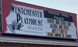 Feature: Meet the Cast of VANYA AND SONIA AND MASHA AND SPIKE at The Westchester Playhouse Image