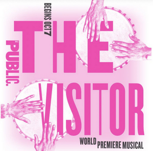 Now Available! THE VISITOR at The Public  Image