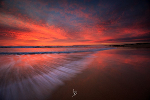 MOGA Caparica Festival Set To Debut In Portugal Next Month Image