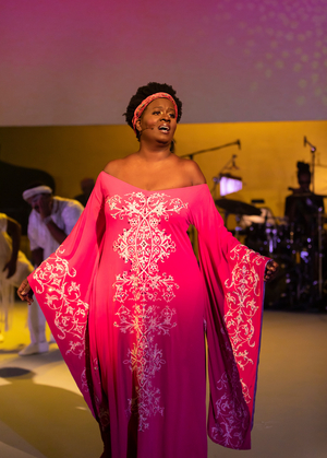 Review: DREAMING ZENZILE at The Repertory Theatre Of St. Louis 