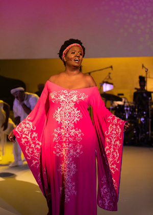 Review: DREAMING ZENZILE at The Repertory Theatre Of St. Louis  Image