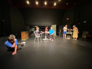 North Star Theater Company Presents FUDDY MEERS  Image