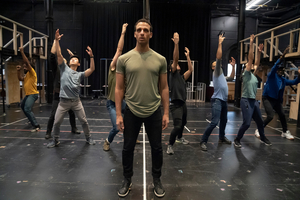 The Public Theater Cancels First Previews for THE VISITOR Image