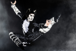 Review: CATS at Orpheum Theater Image