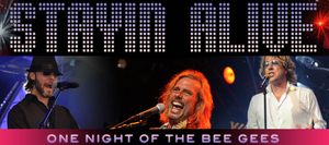 Coral Springs Center for the Arts Announces STAYIN' ALIVE: Tribute to the BeeGees & More  Image