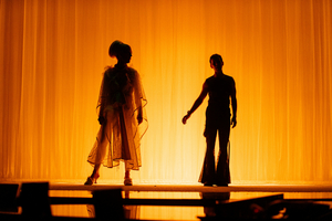 Review: ONLY AN OCTAVE APART at St. Ann's Warehouse Image