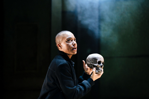Review: HAMLET, Young Vic Image