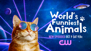 WORLD'S FUNNIEST ANIMALS Will Return to The CW Image