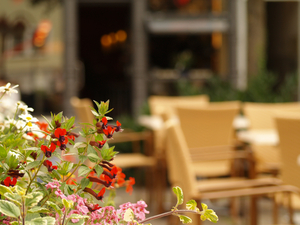 Go AL FRESCO This Fall in NYC-Our Top 20 Image