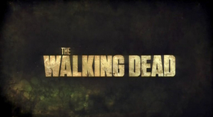 AMC Greenlights THE WALKING DEAD Spinoff for AMC+  Image