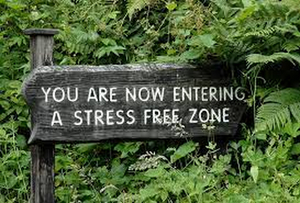 Student Blog: Midterms, Time Management, and Myself! Image