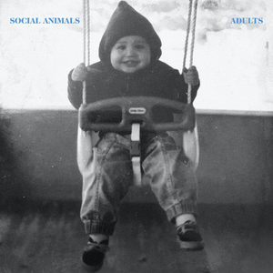 Social Animals Release New Single 'Adults' Image