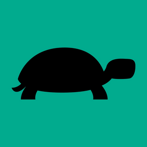 Performances Begin Tomorrow for A TURTLE ON A FENCE POST Image