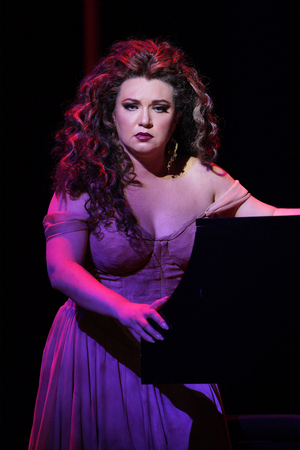 Review: LOS ANGELES OPERA'S TANNHÄUSER at Home Computer Screens Image
