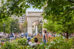 Student Blog: Park Royalty: “Fame” at NYU is Not What You Think Image