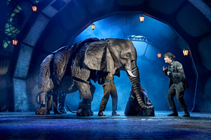 Review: THE MAGICIAN'S ELEPHANT, Royal Shakespeare Theatre Image