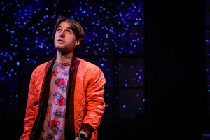 Review: THE CURIOUS INCIDENT OF THE DOG IN THE NIGHT-TIME at SHEA'S 710 Theatre 