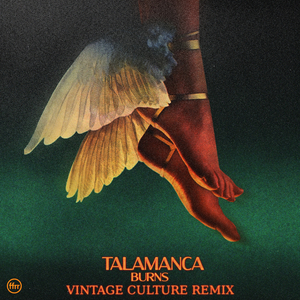 Vintage Culture Remixes BURNS Single 'Talamanca' 