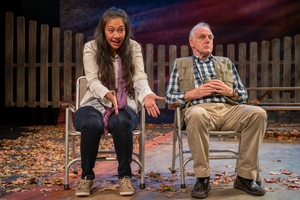 Review:  Mosaic Theater's BIRDS OF NORTH AMERICA a Subtle, Moving Testament to Our Times 