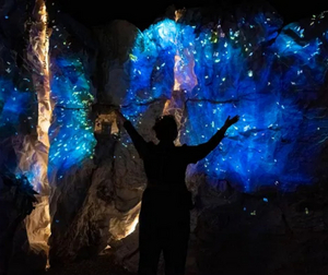 Review: LOST ORIGIN, Hoxton Docks Image
