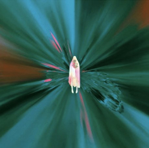 Silent Planet Release New Album 'Iridescent' Image