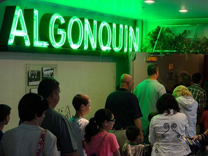 Algonquin Theatre Welcomes New Marketing Director  Image